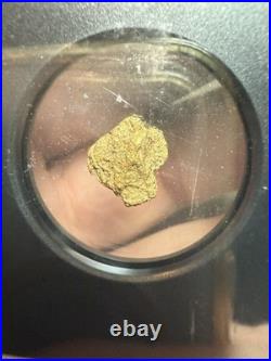 1.42 Sanoyta Mexico Gold Nugget VaultBox Vault Box NGC Unvaulted Solid Example