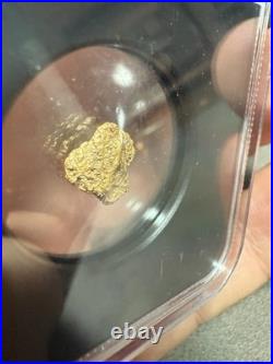 1.42 Sanoyta Mexico Gold Nugget VaultBox Vault Box NGC Unvaulted Solid Example