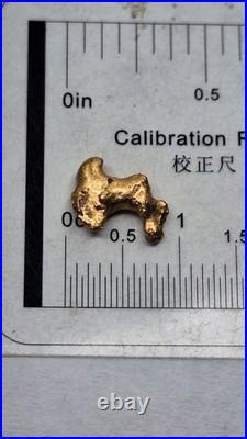 24k Gold Coin Melt Scrap
