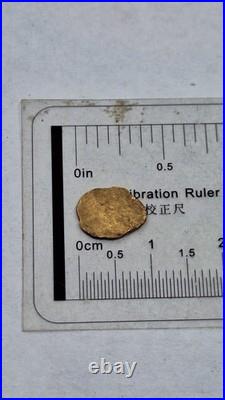 24k Gold Coin Scrap