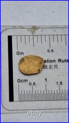 24k Gold Coin Scrap