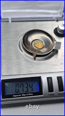 24k Gold Coin Scrap