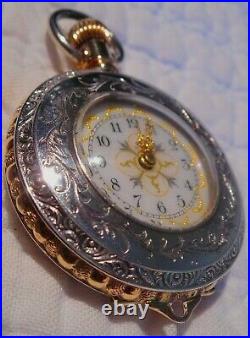 WALTHAM 1891 Sz0s 1/2 HUNTER 10K SOLID GOLD&TRI COLOR-COIN SILVER POCKET WATCH