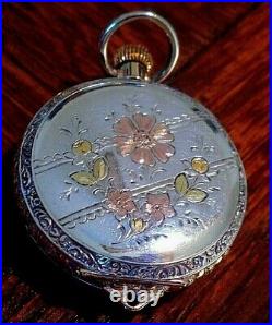 WALTHAM 1891 Sz0s 1/2 HUNTER 10K SOLID GOLD&TRI COLOR-COIN SILVER POCKET WATCH